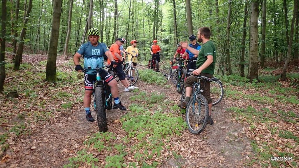 Grupa rowerzystów na wycieczce w Lesie Bażantarnia