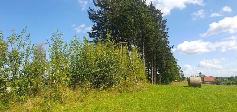 Wycieczka rowerowa po Wysoczyźnie Elbląskiej