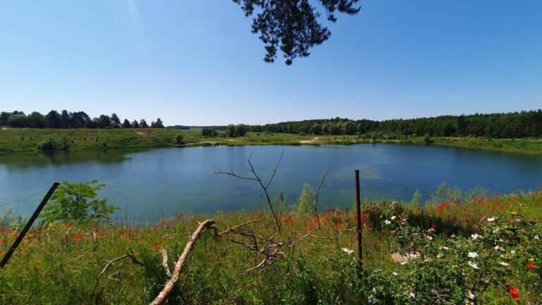 102 km do Dzierzgonia (MWR)