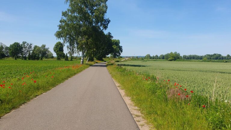 102 km do Dzierzgonia (MWR)