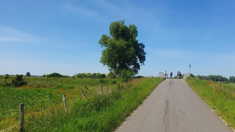 102 km do Dzierzgonia (MWR)