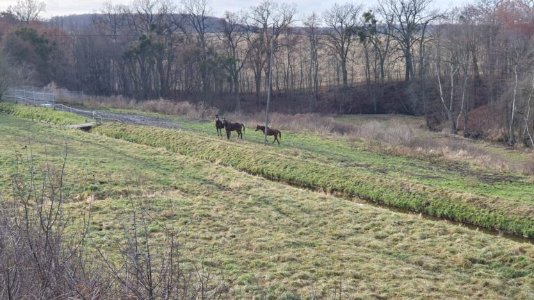 Sakówko/Zakończenie sezonu MWR