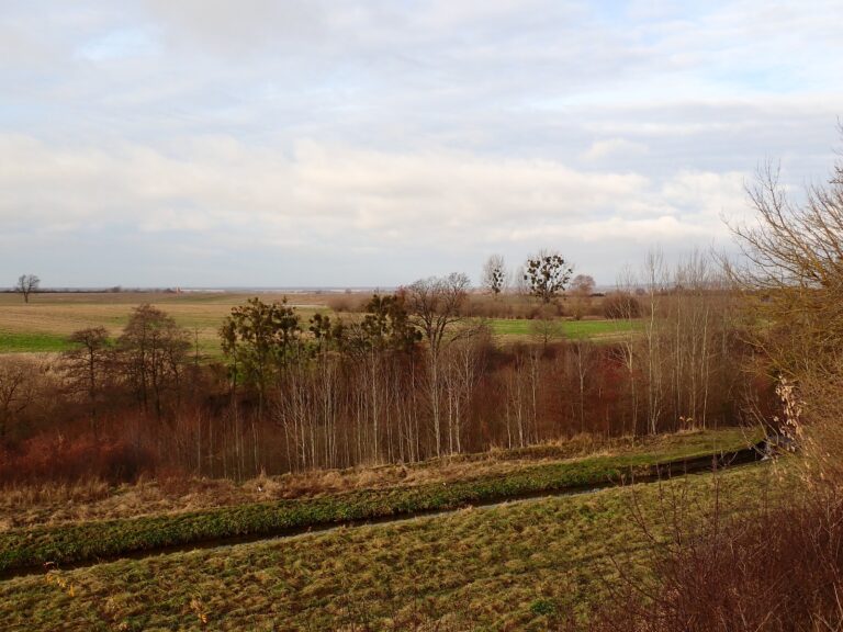 Sakówko/Zakończenie sezonu MWR