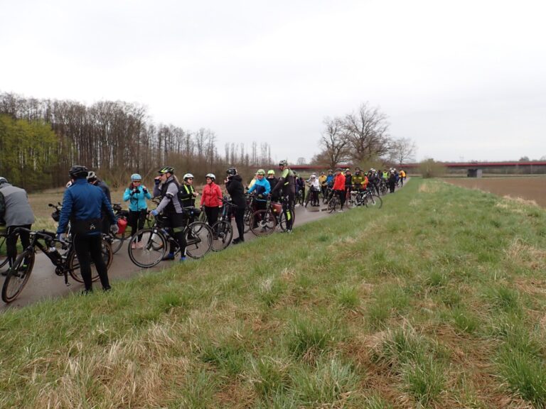 Rowerami nad Nogat (MWR #102)