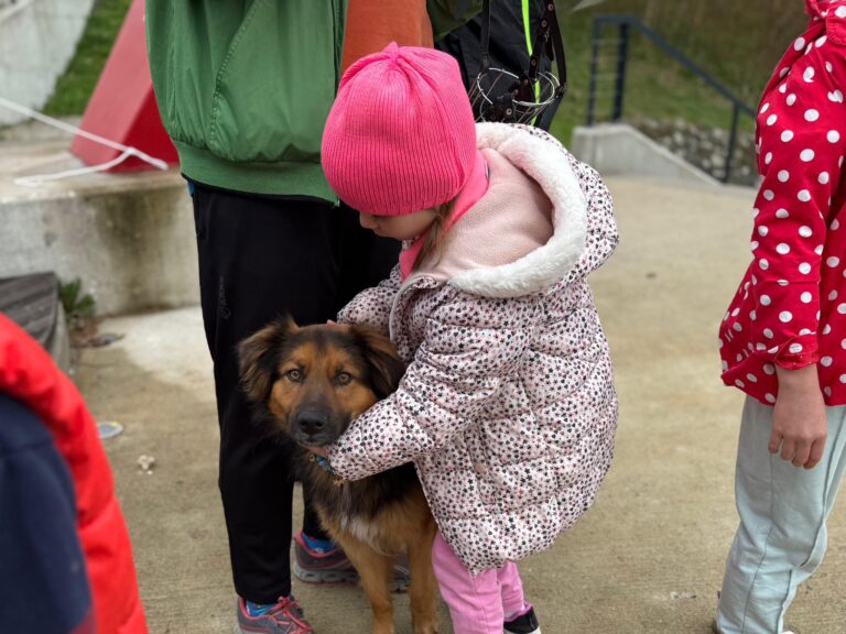 Gra miejska w Parku Dolinka