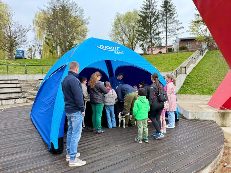 Gra miejska w Parku Dolinka